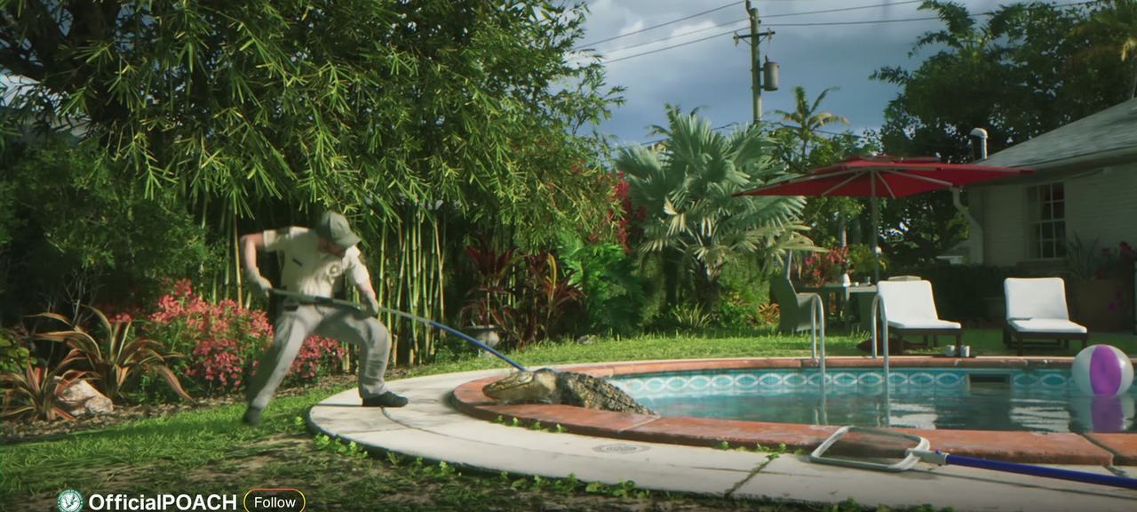 A pool party, also framed as a post.